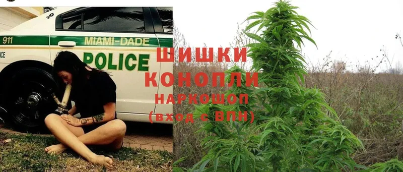 где купить   Новомосковск  МАРИХУАНА Ganja 